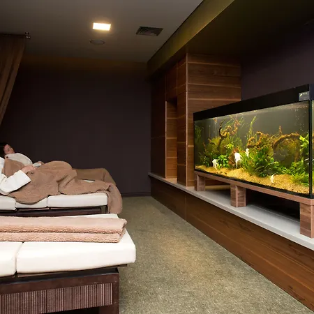 Vilnius 4* Druskieniki