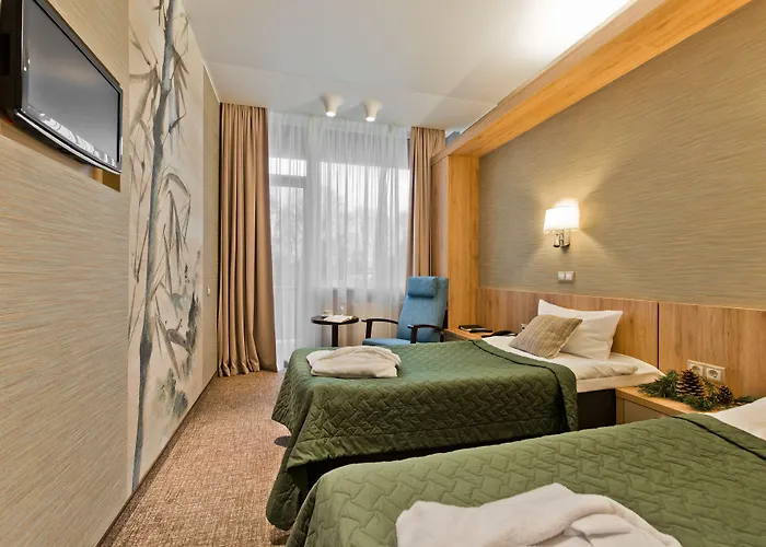 Vilnius 드루스키닝카이