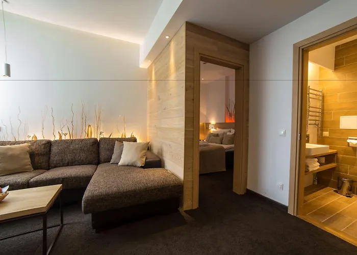 Hotel Vilnius Druskininkai