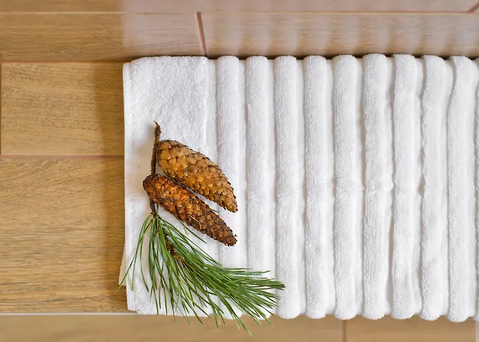 Vilnius 4* 드루스키닝카이