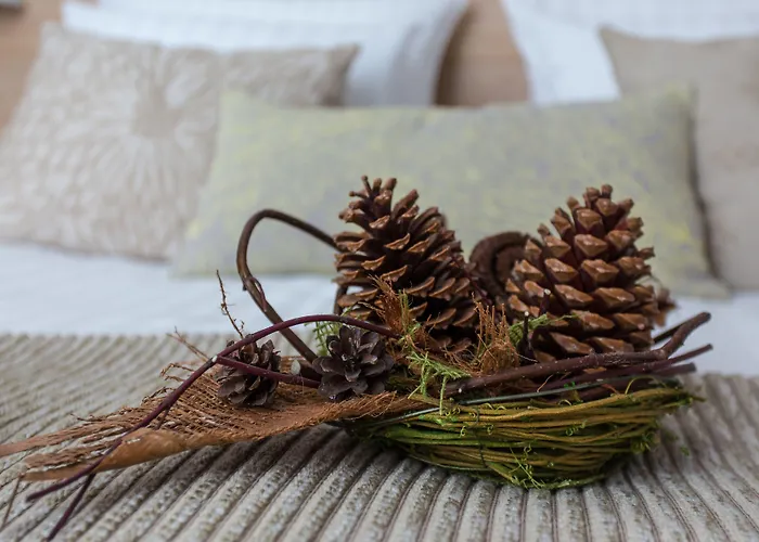 Vilnius Druskininkai