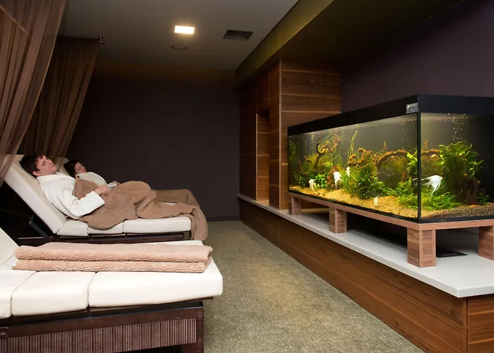 Vilnius 4* Druskininkai