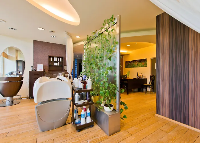 Vilnius Hotel Druskininkai