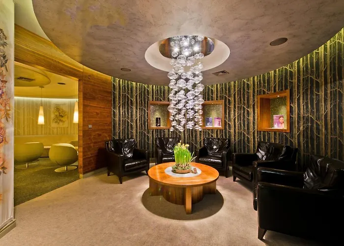 Hotel Vilnius Druskininkai